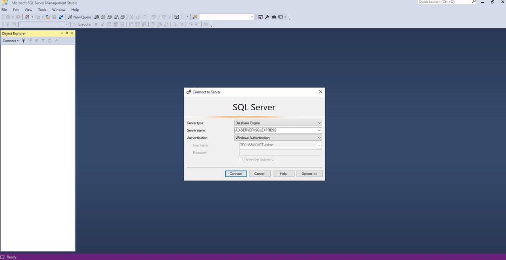 Install SQL Server 2019 on Windows- TechsBucket