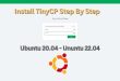 Install TinyCP on Ubuntu 20.04 | 22.04 LTS