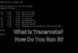 What is Traceroute? How Do You Run It?