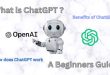 What is Chatgpt? A Beginners Guide