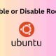 Enable or Disable Root