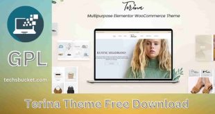 Terina Theme Free Download [v1.5.2]