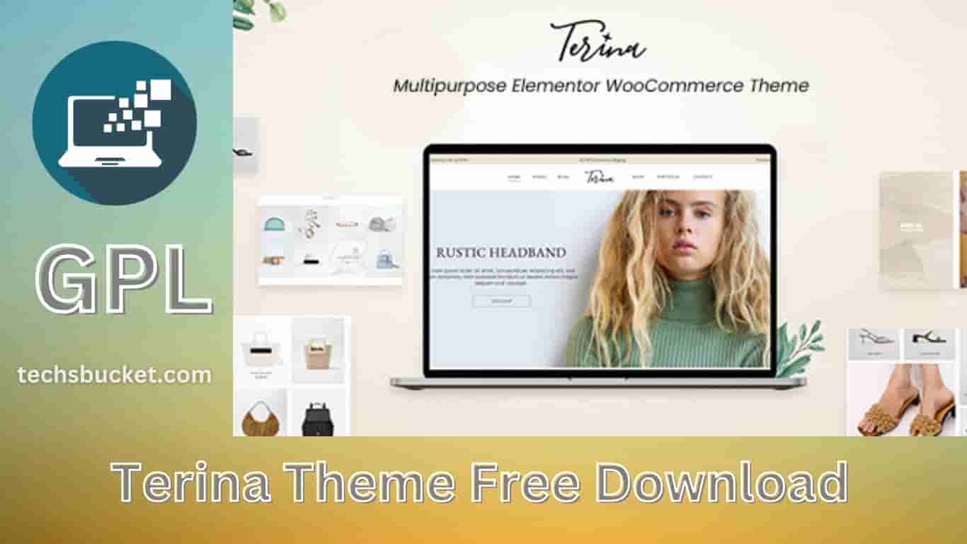 Terina Theme WordPress