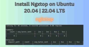 Install Ngxtop on Ubuntu 20.04 | 22.04 LTS
