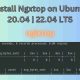 Install Ngxtop on Ubuntu 20.04 22.04 LTS
