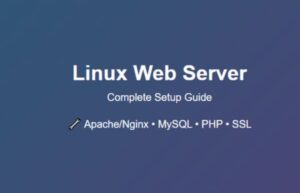 Steps to Set Up a Linux Web Server